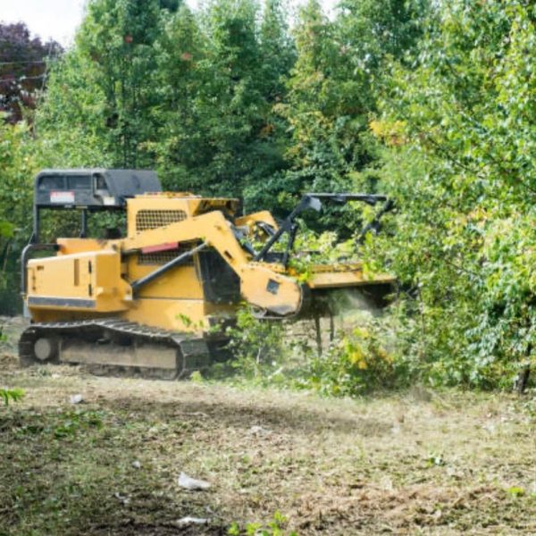 Land Clearing